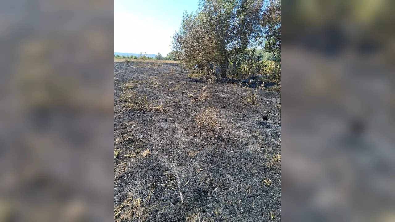 Dumești: peste 4 ha de pășune comunală, foc spre grădini
