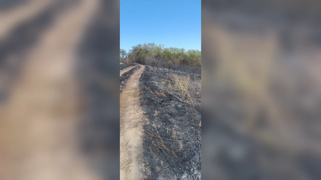 Incendiu de vegetație la Floreni, Murgeni: 1.000 de metri pătrați