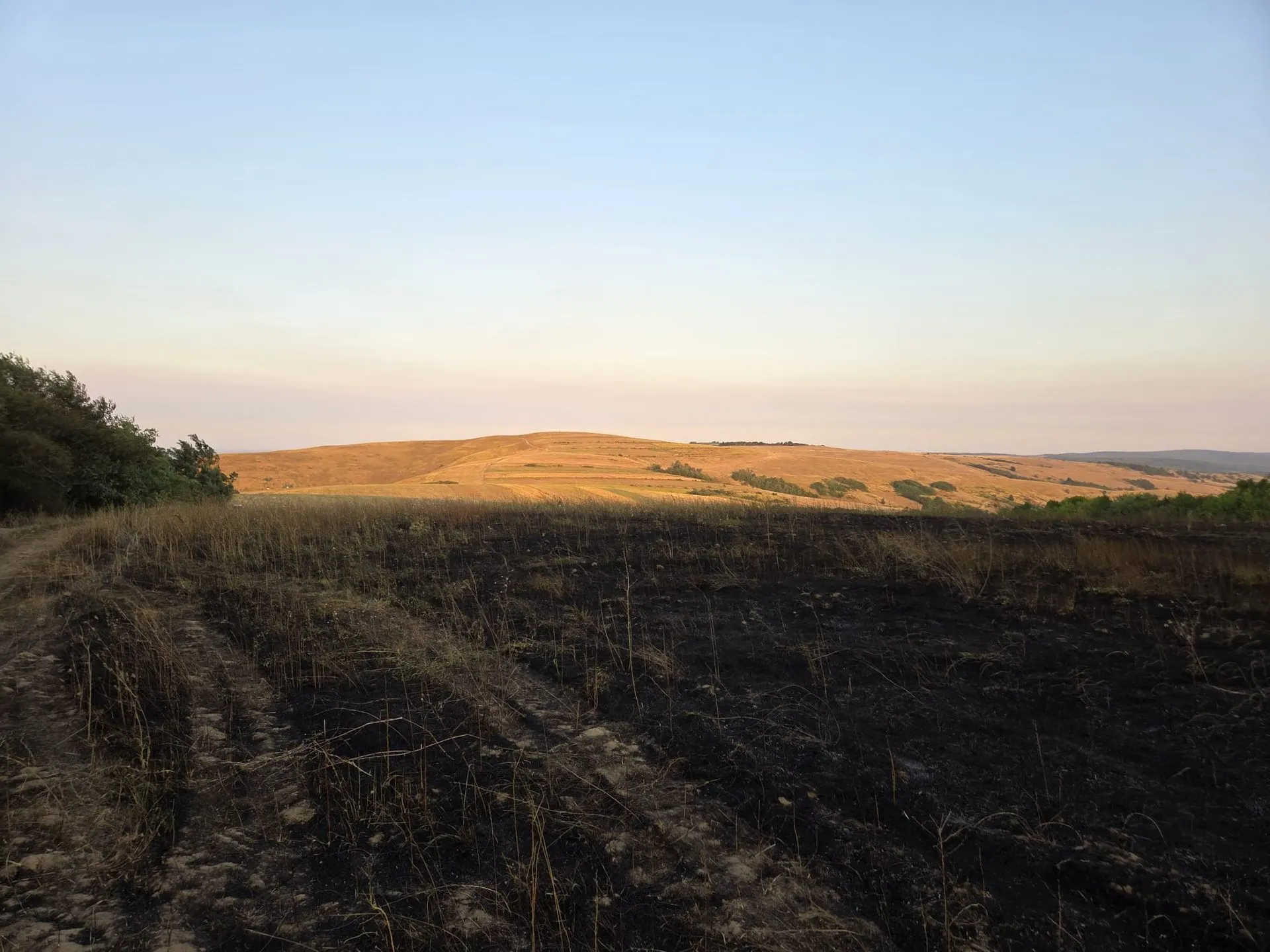 Rugăria, Voinești: 20 ha vegetație și 10 ha pădure de salcâmi, la sol